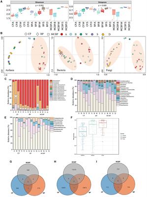 Effect of forest planting patterns on the formation of soil organic carbon during litter lignocellulose degradation from a microbial perspective